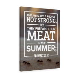 Bible Verse Canvas Meat in the Summer Proverbs 30:25 Christian Framed Prints, Canvas Paintings Framed Matte Canvas 8x10