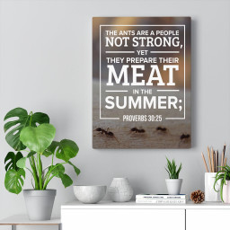 Bible Verse Canvas Meat in the Summer Proverbs 30:25 Christian Framed Prints, Canvas Paintings Framed Matte Canvas 16x24