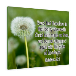 Bible Verse Canvas Stand Fast Galatians 5:1 Christian Scripture Ready to Hang Faith Print Framed Prints, Canvas Paintings Framed Matte Canvas 20x30