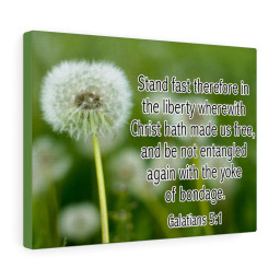 Bible Verse Canvas Stand Fast Galatians 5:1 Christian Scripture Ready to Hang Faith Print Framed Prints, Canvas Paintings Framed Matte Canvas 16x24