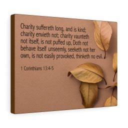 Bible Verse Canvas Charity 1 Corinthians 13:4-5 Christian Scripture Ready to Hang Faith Print Framed Prints, Canvas Paintings Framed Matte Canvas 12x16