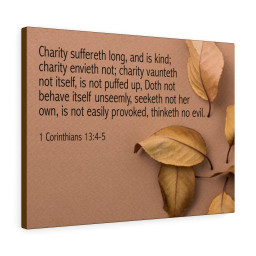 Bible Verse Canvas Charity 1 Corinthians 13:4-5 Christian Scripture Ready to Hang Faith Print Framed Prints, Canvas Paintings Framed Matte Canvas 24x36