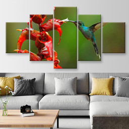 Rare Hummingbird From Costa Rica Animals, Multi Canvas Painting Ideas, Multi Piece Panel Canvas Housewarming Gift Ideas Canvas Canvas Gallery Painting Framed Prints, Canvas Paintings Multi Panel Canvas 5PIECE(Mixed 12)
