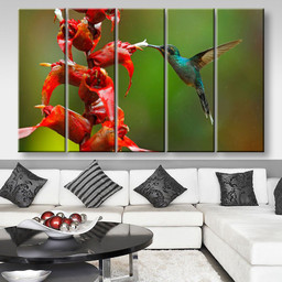 Rare Hummingbird From Costa Rica Animals, Multi Canvas Painting Ideas, Multi Piece Panel Canvas Housewarming Gift Ideas Canvas Canvas Gallery Painting Framed Prints, Canvas Paintings Multi Panel Canvas 5PIECE(80x48)