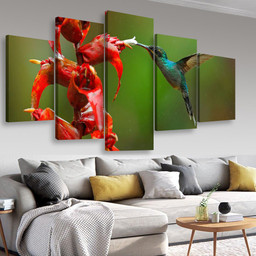 Rare Hummingbird From Costa Rica Animals, Multi Canvas Painting Ideas, Multi Piece Panel Canvas Housewarming Gift Ideas Canvas Canvas Gallery Painting Framed Prints, Canvas Paintings Multi Panel Canvas 5PIECE(Mixed 16)