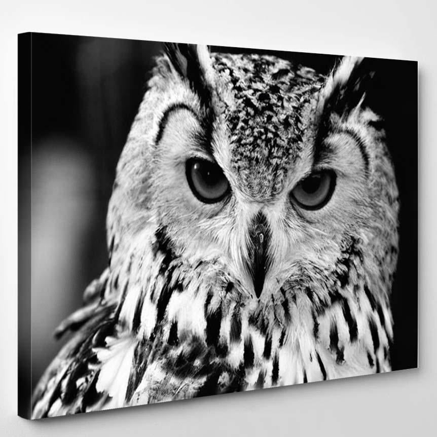 Eurasian Eagleowl Bubo Black White Close, Eagle Animals Premium Multi Canvas Prints, Multi Piece Panel Canvas , Luxury Gallery Wall Fine Art Single Canvas 1 PIECE (8x10)