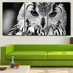 Eurasian Eagleowl Bubo Black White Close, Eagle Animals Premium Multi Canvas Prints, Multi Piece Panel Canvas , Luxury Gallery Wall Fine Art Multi Canvas 3PIECE(36 x18)