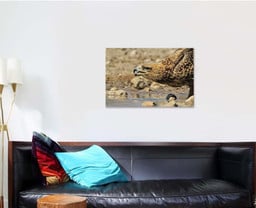 Tawny Eagle Wild Raptors Namibia Africa, Eagle Animals Premium Multi Canvas Prints, Multi Piece Panel Canvas , Luxury Gallery Wall Fine Art Single Canvas 1 PIECE (24x36)