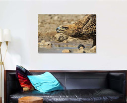 Tawny Eagle Wild Raptors Namibia Africa, Eagle Animals Premium Multi Canvas Prints, Multi Piece Panel Canvas , Luxury Gallery Wall Fine Art Single Canvas 1 PIECE (32x48)