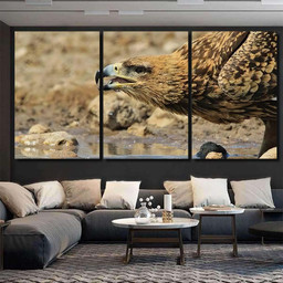 Tawny Eagle Wild Raptors Namibia Africa, Eagle Animals Premium Multi Canvas Prints, Multi Piece Panel Canvas , Luxury Gallery Wall Fine Art Multi Canvas 3PIECE(54x24)