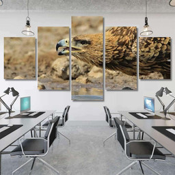 Tawny Eagle Wild Raptors Namibia Africa, Eagle Animals Premium Multi Canvas Prints, Multi Piece Panel Canvas , Luxury Gallery Wall Fine Art Multi Canvas 5PIECE(Mixed 12)