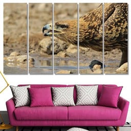 Tawny Eagle Wild Raptors Namibia Africa, Eagle Animals Premium Multi Canvas Prints, Multi Piece Panel Canvas , Luxury Gallery Wall Fine Art Multi Canvas 5PIECE(60x36)
