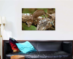 Satanic Leaftailed Gecko Madagascar 1, Fantastic Premium Multi Canvas Prints, Multi Piece Panel Canvas , Luxury Gallery Wall Fine Art Single Canvas 1 PIECE (32x48)