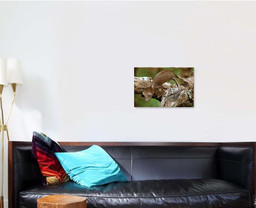 Satanic Leaftailed Gecko Madagascar 1, Fantastic Premium Multi Canvas Prints, Multi Piece Panel Canvas , Luxury Gallery Wall Fine Art Single Canvas 1 PIECE (16x24)