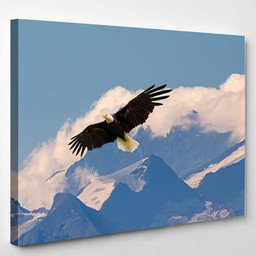 Bald Eagle Flying Gliding Slowly Majestic 1, Eagle Animals Premium Multi Canvas Prints, Multi Piece Panel Canvas , Luxury Gallery Wall Fine Art Single Canvas 1 PIECE (8x10)