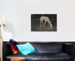 New Year Illumination Deer Evening 1 Deer Animals Premium Multi Canvas Prints, Multi Piece Panel Canvas Luxury Gallery Wall Fine Art Print Single Wrapped Canvas (Ready To Hang) 1 PIECE(24x36)