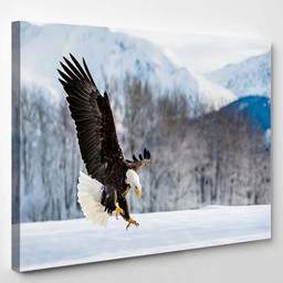 Adult Bald Eagle Haliaeetus Leucocephalus Washingtoniensis 2, Eagle Animals Premium Multi Canvas Prints, Multi Piece Panel Canvas , Luxury Gallery Wall Fine Art Single Canvas 1 PIECE (8x10)