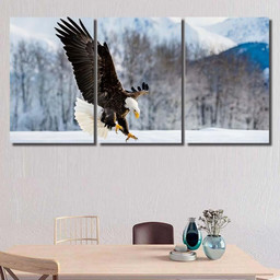 Adult Bald Eagle Haliaeetus Leucocephalus Washingtoniensis 2, Eagle Animals Premium Multi Canvas Prints, Multi Piece Panel Canvas , Luxury Gallery Wall Fine Art Multi Canvas 3PIECE(54x24)