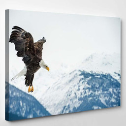 Flying Bald Eagle Haliaeetus Leucocephalus Washingtoniensis 1, Eagle Animals Premium Multi Canvas Prints, Multi Piece Panel Canvas , Luxury Gallery Wall Fine Art Single Canvas 1 PIECE (8x10)