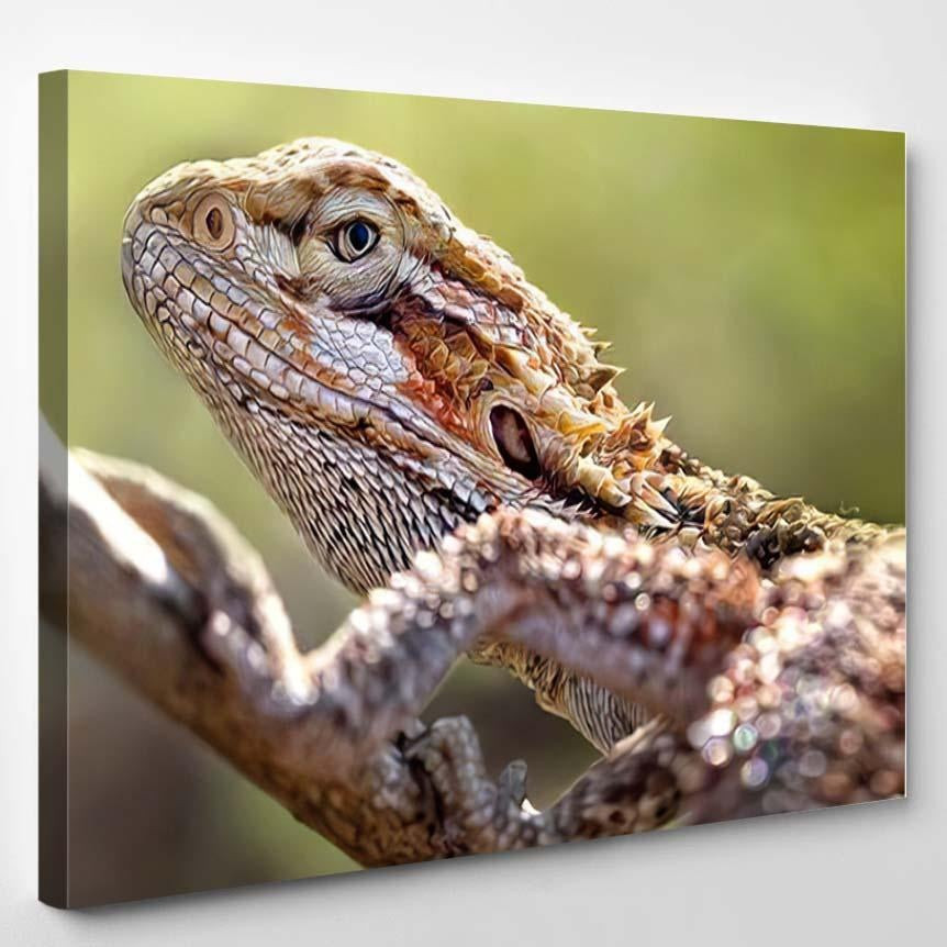 Dragon Lizard Oil Painting Art Nature Dragon Animals Premium Multi Canvas Prints, Multi Piece Panel Canvas Luxury Gallery Wall Fine Art Print Single Wrapped Canvas (Ready To Hang) 1 PIECE(8x10)