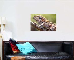 Dragon Lizard Oil Painting Art Nature Dragon Animals Premium Multi Canvas Prints, Multi Piece Panel Canvas Luxury Gallery Wall Fine Art Print Single Wrapped Canvas (Ready To Hang) 1 PIECE(24x36)