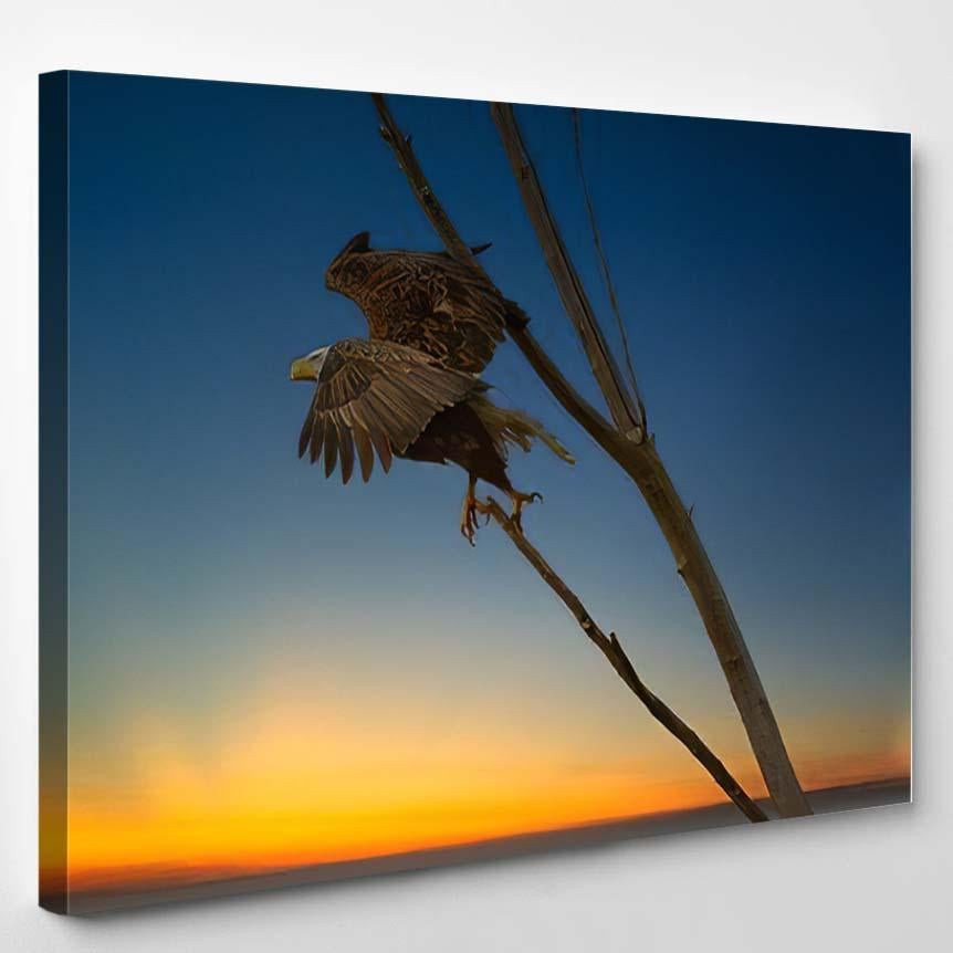 Bald Eagle Flight Sunset Lake Sammamish, Eagle Animals Premium Multi Canvas Prints, Multi Piece Panel Canvas , Luxury Gallery Wall Fine Art Single Canvas 1 PIECE (8x10)