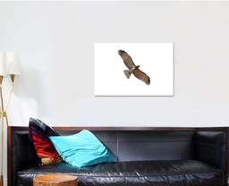 Shorttoed Snake Eagle Flying Isolated On, Eagle Animals Premium Multi Canvas Prints, Multi Piece Panel Canvas , Luxury Gallery Wall Fine Art Single Canvas 1 PIECE (24x36)