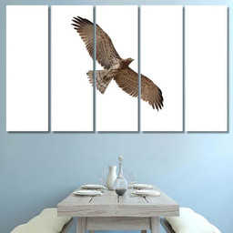 Shorttoed Snake Eagle Flying Isolated On, Eagle Animals Premium Multi Canvas Prints, Multi Piece Panel Canvas , Luxury Gallery Wall Fine Art Multi Canvas 5PIECE(60x36)