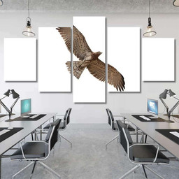 Shorttoed Snake Eagle Flying Isolated On, Eagle Animals Premium Multi Canvas Prints, Multi Piece Panel Canvas , Luxury Gallery Wall Fine Art Multi Canvas 5PIECE(Mixed 12)