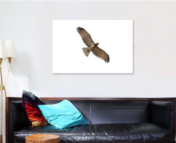 Shorttoed Snake Eagle Flying Isolated On, Eagle Animals Premium Multi Canvas Prints, Multi Piece Panel Canvas , Luxury Gallery Wall Fine Art Single Canvas 1 PIECE (32x48)
