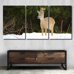 European Roe Deer Capreolus Capreolusantlers Grow Deer Animals Premium Multi Canvas Prints, Multi Piece Panel Canvas Luxury Gallery Wall Fine Art Print Multi Wrapped Canvas (Ready To Hang) 3PIECE(36 x18)
