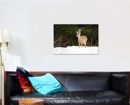 European Roe Deer Capreolus Capreolusantlers Grow Deer Animals Premium Multi Canvas Prints, Multi Piece Panel Canvas Luxury Gallery Wall Fine Art Print Single Wrapped Canvas (Ready To Hang) 1 PIECE(24x36)