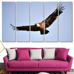 Vulture Flying On Spanish Natural Park, Eagle Animals Premium Multi Canvas Prints, Multi Piece Panel Canvas , Luxury Gallery Wall Fine Art Multi Canvas 5PIECE(60x36)