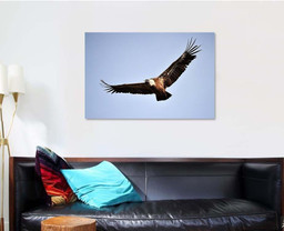 Vulture Flying On Spanish Natural Park, Eagle Animals Premium Multi Canvas Prints, Multi Piece Panel Canvas , Luxury Gallery Wall Fine Art Single Canvas 1 PIECE (32x48)