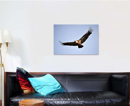 Vulture Flying On Spanish Natural Park, Eagle Animals Premium Multi Canvas Prints, Multi Piece Panel Canvas , Luxury Gallery Wall Fine Art Single Canvas 1 PIECE (24x36)