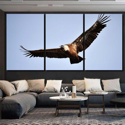Vulture Flying On Spanish Natural Park, Eagle Animals Premium Multi Canvas Prints, Multi Piece Panel Canvas , Luxury Gallery Wall Fine Art Multi Canvas 3PIECE(54x24)