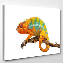 Yellow Blue Lizard Panther Chameleon Isolated 1 Dragon Animals Premium Multi Canvas Prints, Multi Piece Panel Canvas Luxury Gallery Wall Fine Art Print Single Wrapped Canvas (Ready To Hang) 1 PIECE(8x10)