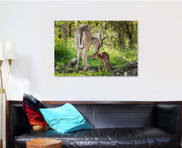 Whitetailed Deer Odocoileus Virginianus Sniffs Behind Deer Animals Premium Multi Canvas Prints, Multi Piece Panel Canvas Luxury Gallery Wall Fine Art Print Single Wrapped Canvas (Ready To Hang) 1 PIECE(32x48)