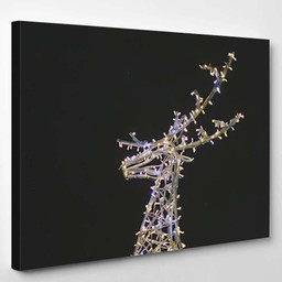 New Year Illumination Deer Evening 1 1 Deer Animals Premium Multi Canvas Prints, Multi Piece Panel Canvas Luxury Gallery Wall Fine Art Print Single Wrapped Canvas (Ready To Hang) 1 PIECE(8x10)