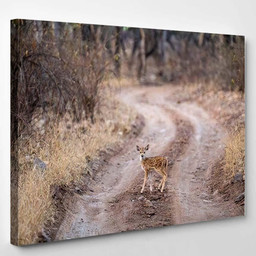 Cute Fawn Spotted Deer Chital Cheetal Deer Animals Premium Multi Canvas Prints, Multi Piece Panel Canvas Luxury Gallery Wall Fine Art Print Single Wrapped Canvas (Ready To Hang) 1 PIECE(8x10)