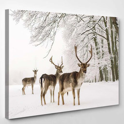 Male Fallow Deer Grate Antlers Standing 1 Deer Animals Premium Multi Canvas Prints, Multi Piece Panel Canvas Luxury Gallery Wall Fine Art Print Single Wrapped Canvas (Ready To Hang) 1 PIECE(8x10)
