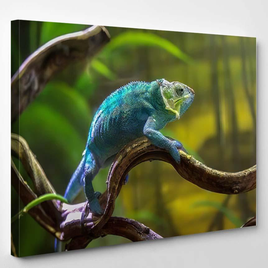 Lizarddragon Chameleon Bluecrested Lizard Indochinese Forest Dragon Animals Premium Multi Canvas Prints, Multi Piece Panel Canvas Luxury Gallery Wall Fine Art Print Single Wrapped Canvas (Ready To Hang) 1 PIECE(8x10)
