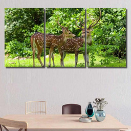 Cheetal Chital Deer Known Spotted Lush Deer Animals Premium Multi Canvas Prints, Multi Piece Panel Canvas Luxury Gallery Wall Fine Art Print Multi Wrapped Canvas (Ready To Hang) 3PIECE(36 x18)