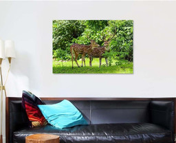 Cheetal Chital Deer Known Spotted Lush Deer Animals Premium Multi Canvas Prints, Multi Piece Panel Canvas Luxury Gallery Wall Fine Art Print Single Wrapped Canvas (Ready To Hang) 1 PIECE(32x48)