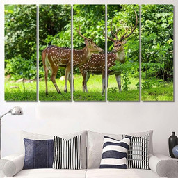 Cheetal Chital Deer Known Spotted Lush Deer Animals Premium Multi Canvas Prints, Multi Piece Panel Canvas Luxury Gallery Wall Fine Art Print Multi Wrapped Canvas (Ready To Hang) 5PIECE(60x36)