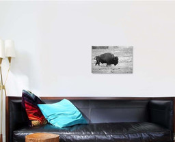 Old Buffalo Bull Black White Bison Animals Luxury Multi Canvas Prints, Multi Piece Panel Canvas Gallery Art Print Print Single Canvas 1 PIECE (16x24)