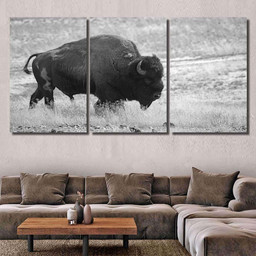 Old Buffalo Bull Black White Bison Animals Luxury Multi Canvas Prints, Multi Piece Panel Canvas Gallery Art Print Print Multi Canvas 3PIECE(54x24)
