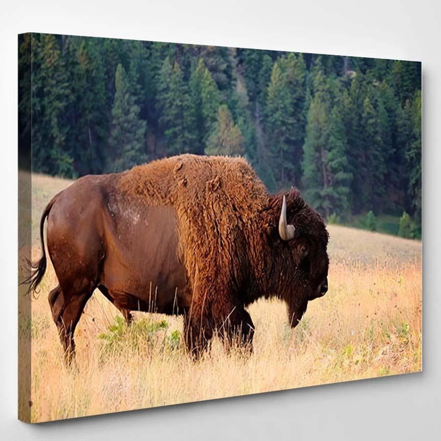 American Bison Buffalo Side Profile Early 1 Bison Animals Luxury Multi Canvas Prints, Multi Piece Panel Canvas Gallery Art Print Print Single Canvas 1PIECE(8x10)