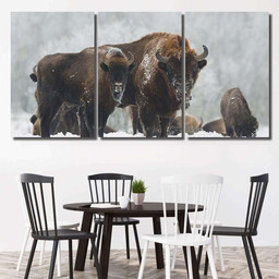 Mammals European Bison Bonasus Winter Time 3 Bison Animals Luxury Multi Canvas Prints, Multi Piece Panel Canvas Gallery Art Print Print Multi Canvas 3PIECE(54x24)