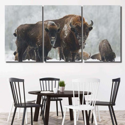 Mammals European Bison Bonasus Winter Time 3 Bison Animals Luxury Multi Canvas Prints, Multi Piece Panel Canvas Gallery Art Print Print Multi Canvas 3PIECE(36 x18)